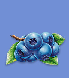 shop Blueberry ELiquid flavours 